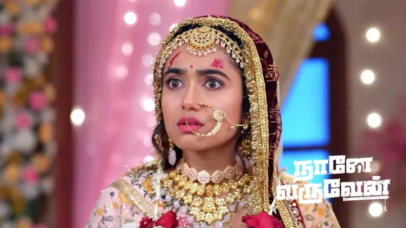 Damini's Act Shocks Mohan and His Family
