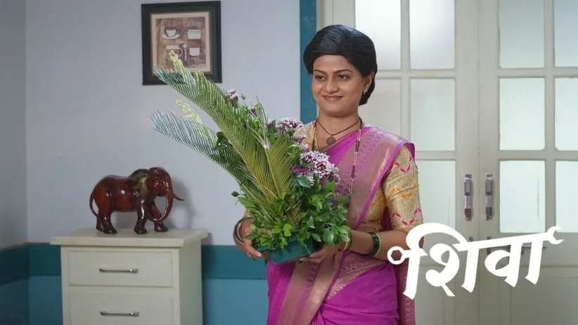 Ashu's Behaviour Puzzles Shiva