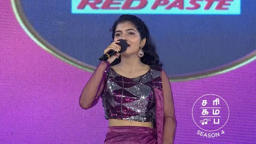 The Celebrities Entertain the Audience