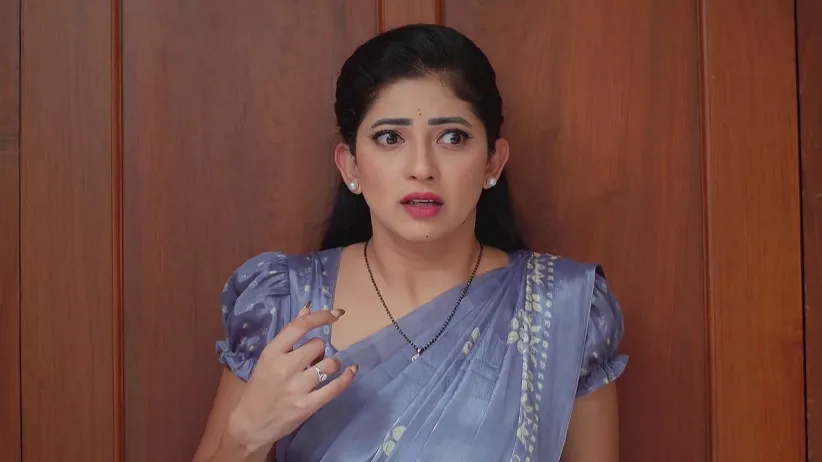 Nindu Noorella Saavasam - November 22, 2024 - Webisode