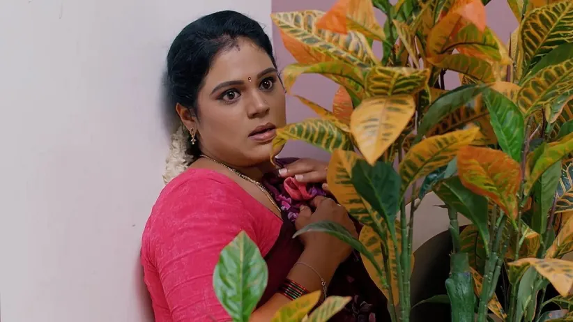 Satyavati Secretly Visits Janaki's House