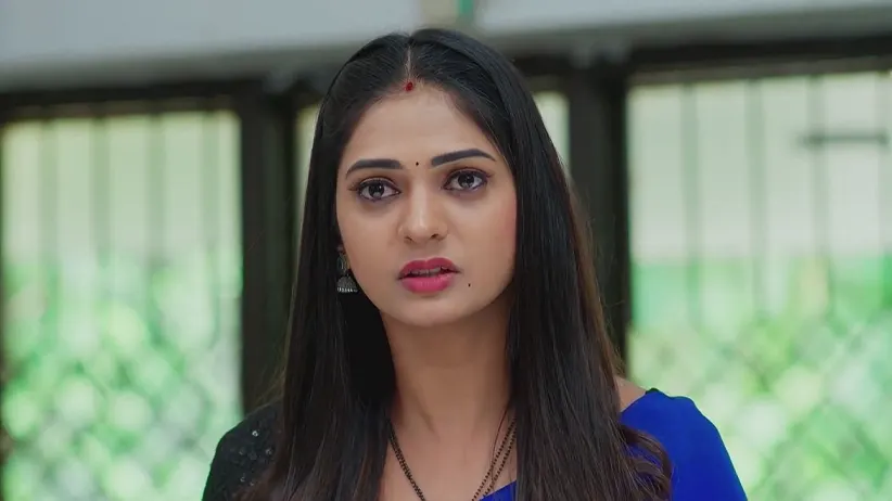 Nindu Noorella Saavasam - November 29, 2024 - Webisode