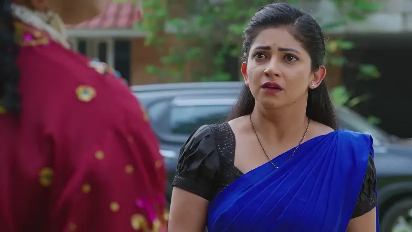 Nindu Noorella Saavasam - December 05, 2024 - Webisode