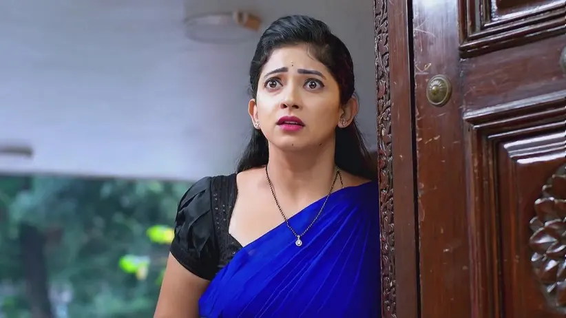 Nindu Noorella Saavasam - December 06, 2024 - Webisode