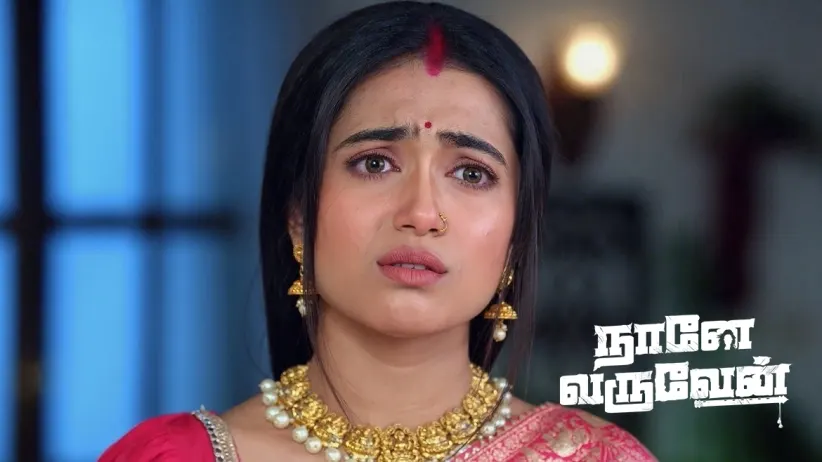 Will Mohan See Through Damini's True Nature?
