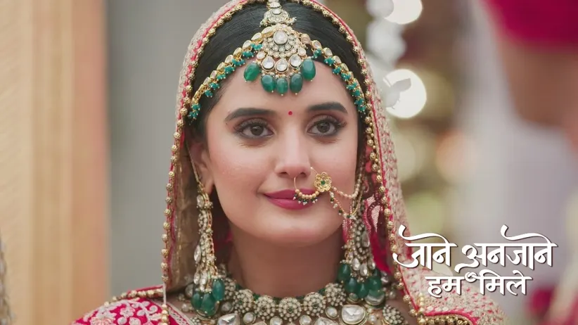 Raghav and Dhruv Get Married to Reet and Unnati