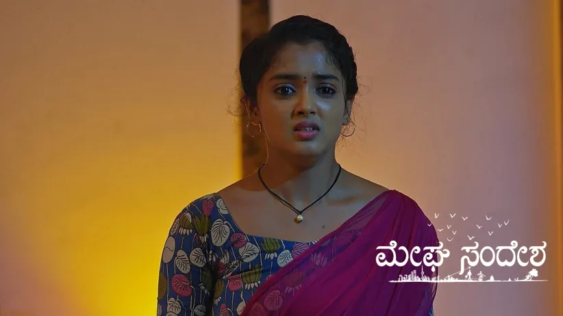 Meera Worries about Krishna