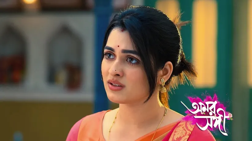 Raj Gifts Shree the Saree