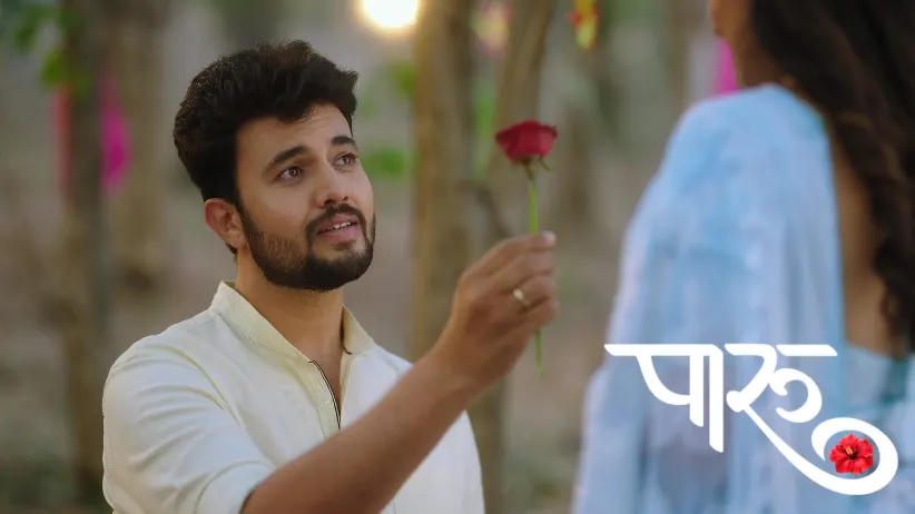 Aditya Confesses His Love for Paaru