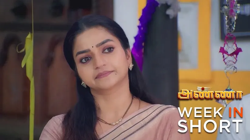 അണ്ണാ