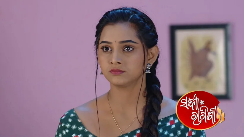 Raj and Ragini Plot against Vicky