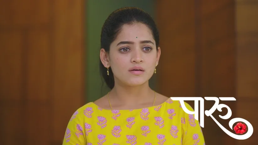 Damini's Plan Fails due to Ahilya Devi