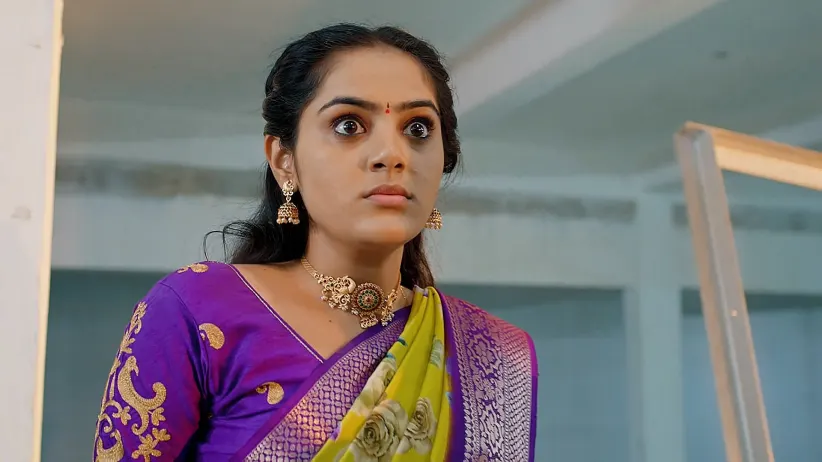 Sharanya Fights the Goons