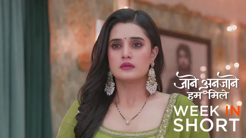 Jaane Anjaane Hum Mile | December 23 -  December 27, 2024
