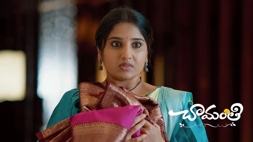 Ramadevi Makes Chamanthi Try on Different Saris
