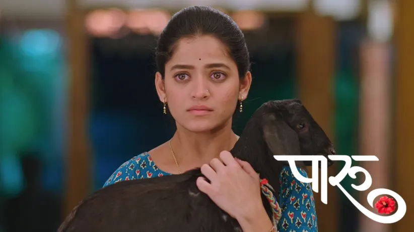 Paaru Leaves for the Village