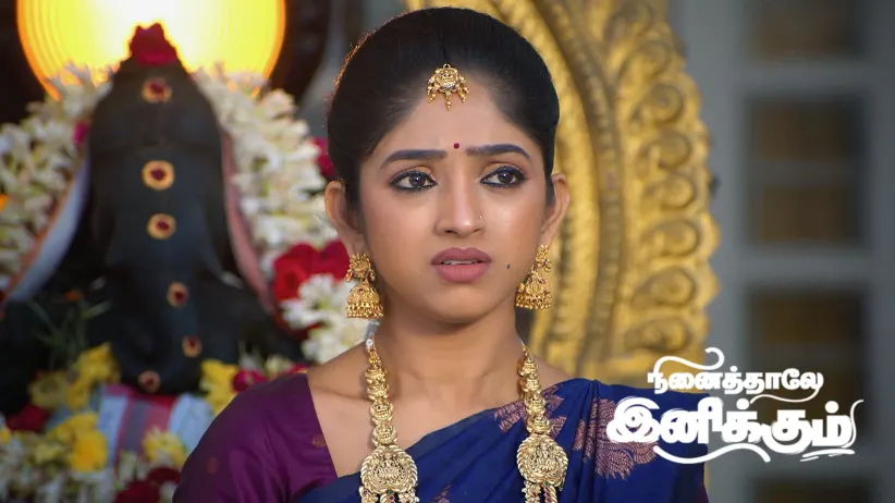 Siddharth Looks for the Navabashana Idol