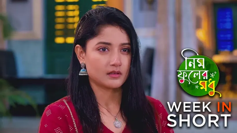 নিম ফুলের মধু