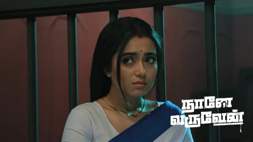 Damini Falls Into the Trap Set by Mohan