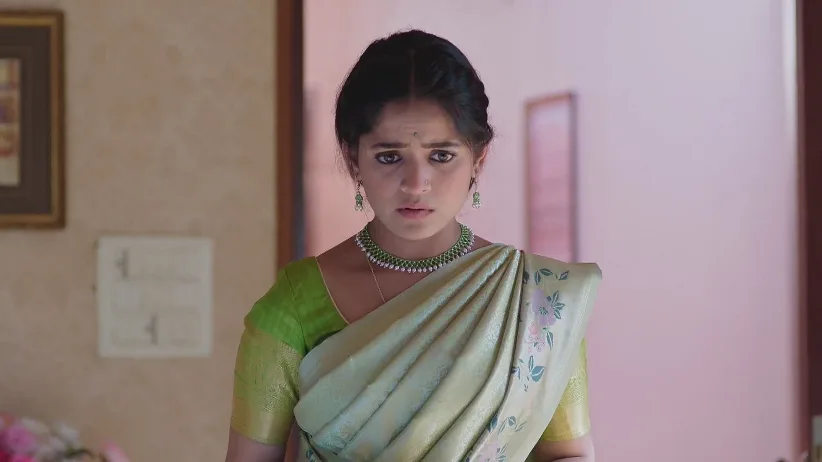 Paaru - January 30, 2025 - Webisode