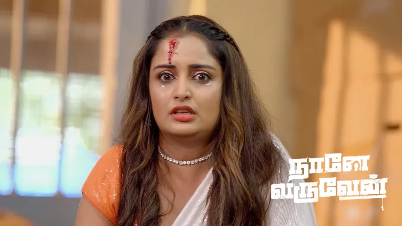 Radha Prays for Mohan