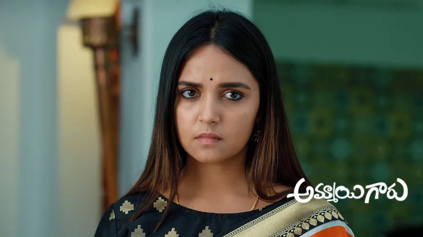 అమ్మాయి గారు - ఫిబ్రవరి 11, 2025 - ఎపిసోడ్