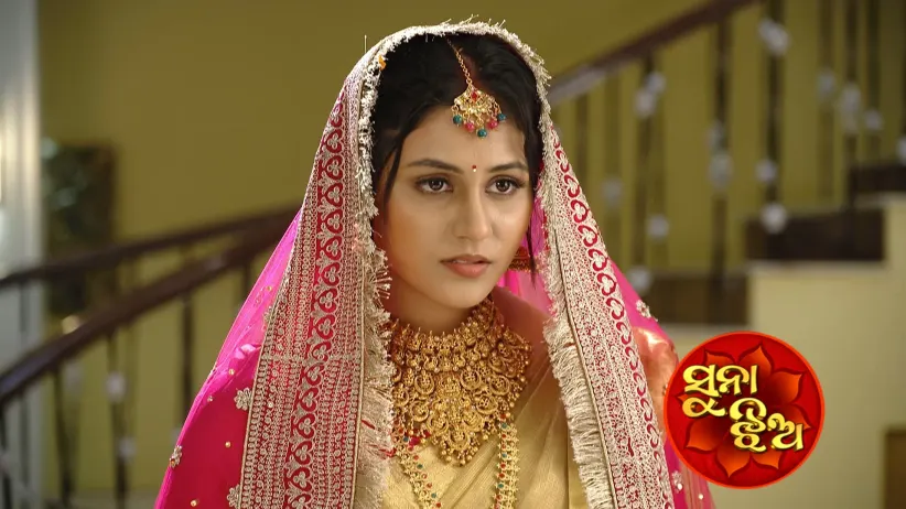 Sambhav's Terms for Usha