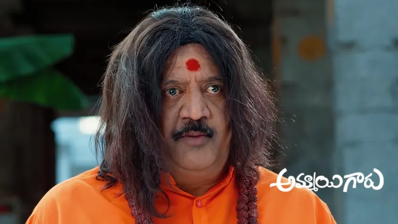 Swamiji Arranges a ‘Mrityunjaya Homam’