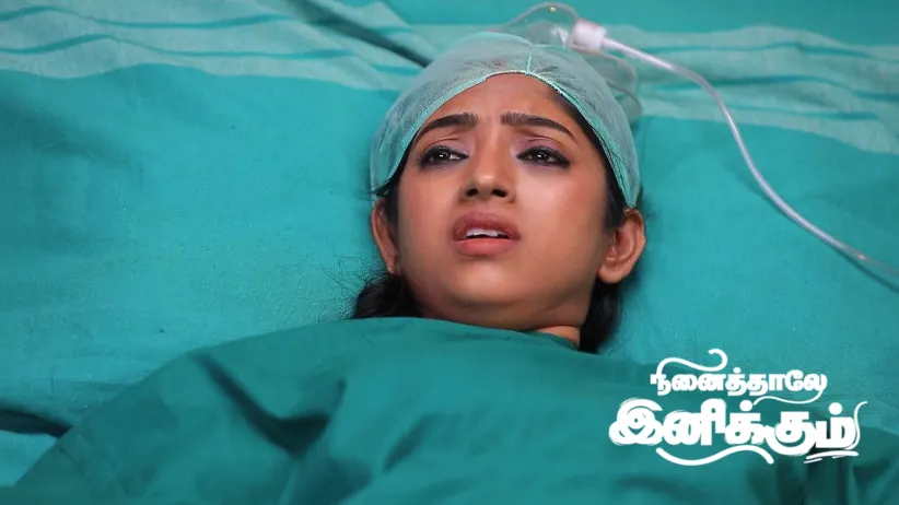 Siddharth Meets Radhika