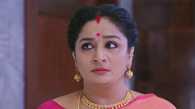 Vijaya's Plan Excites Madan - Shravani Subramanya