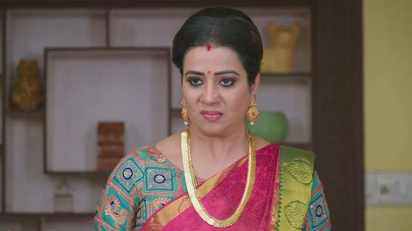 Rajeshwari Falls at Puttakka's Feet
