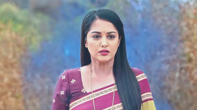 Ambika Decides to Seek Durga's Help