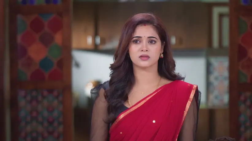 Parvathy Instigates Padma - Sandhya Raagam 