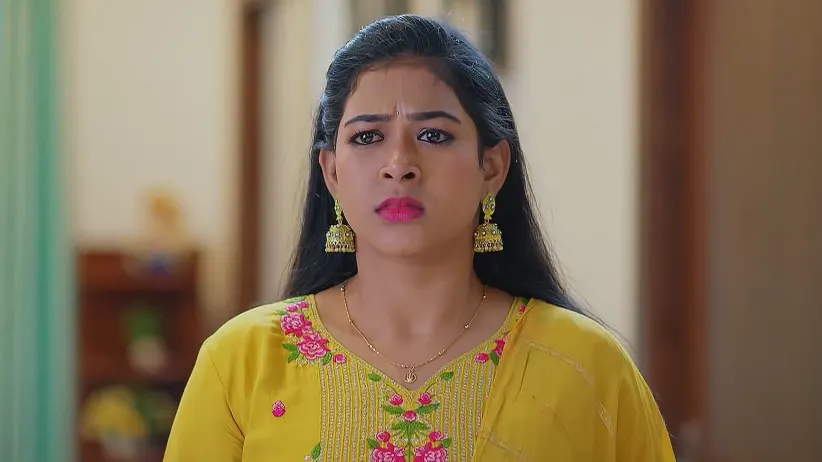 Meghasandesam - March 16, 2025 - Best Scene