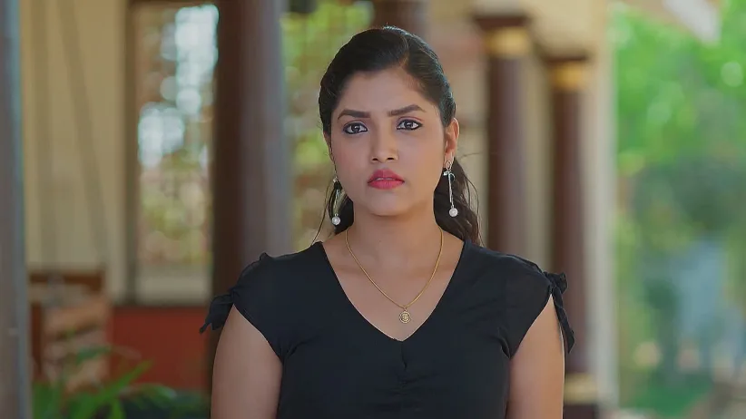 మేఘసందేశం - మార్చ్ 15, 2025 - క్లిప్