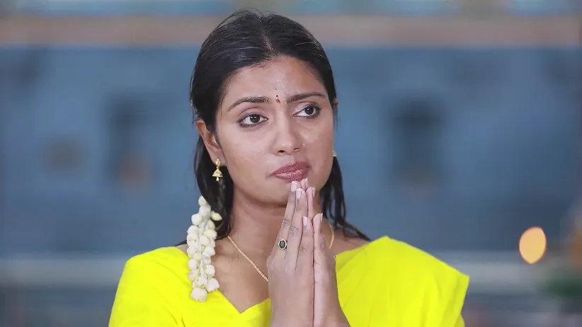 Durga Prays for Devi