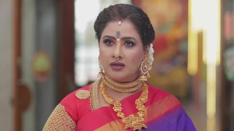 Vedhanayagi Blames Velan