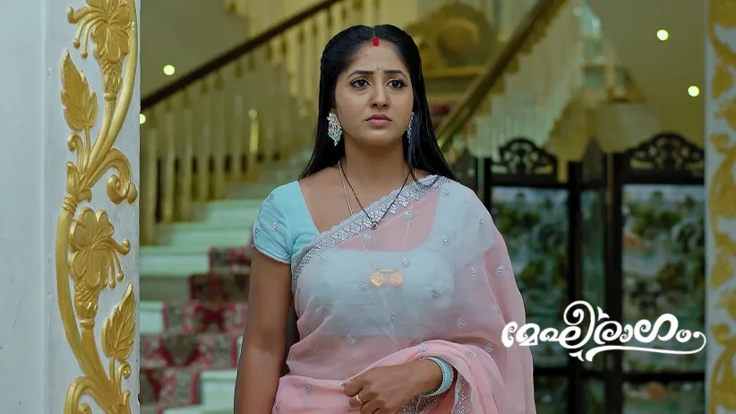 Meghana Scolds Charu