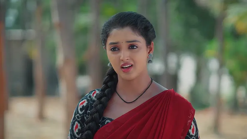 Meghasandesam - March 29, 2025 - Best Scene