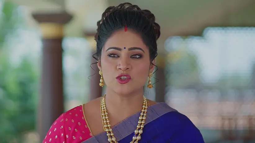 Meghasandesam - March 28, 2025 - Best Scene