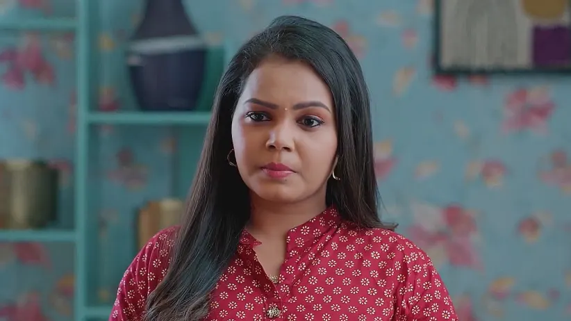 Meghasandesam - March 26, 2025 - Webisode