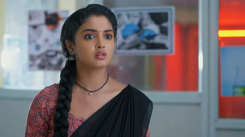 Meghasandesam - April 03, 2025 - Episode Spoiler