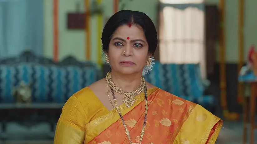 Maa Annayya - April 04, 2025 - Webisode