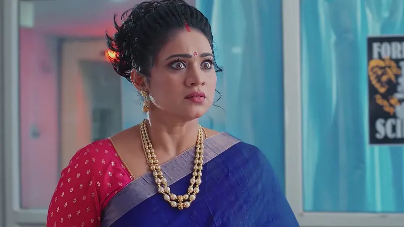 Meghasandesam - March 31, 2025 - Webisode