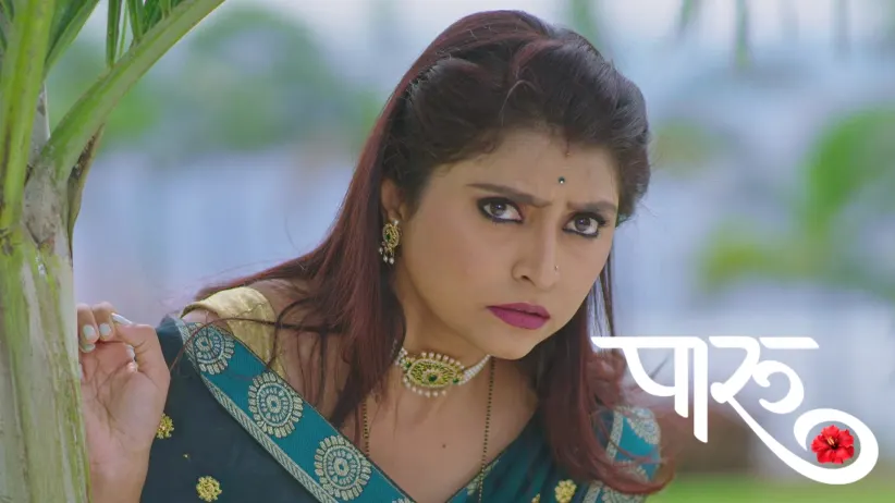 Disha's Goons Kidnap Paaru