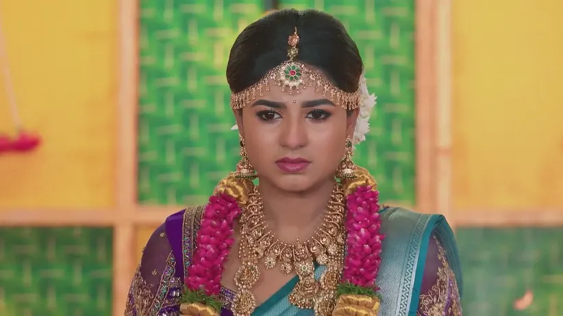 Karthigai Deepam - March 30, 2025 - Webisode