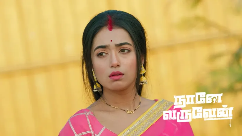 Damini Meets Her End