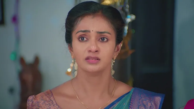 Bhagyam Gets Annoyed at Shanmugham - Anna