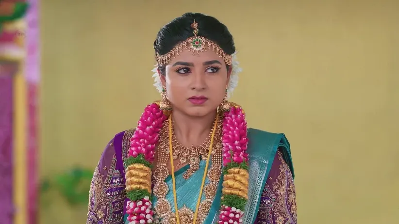 Karthigai Deepam - April 02, 2025 - Webisode