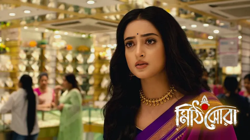 The Robbers Kidnap Nilu